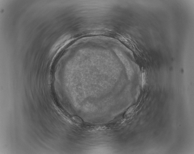 X0000072980243200608111748