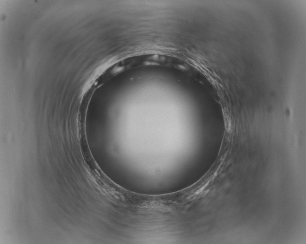 X0000072980244200608111748