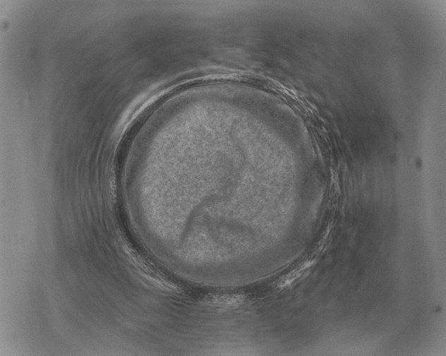 X0000072980247200608111748