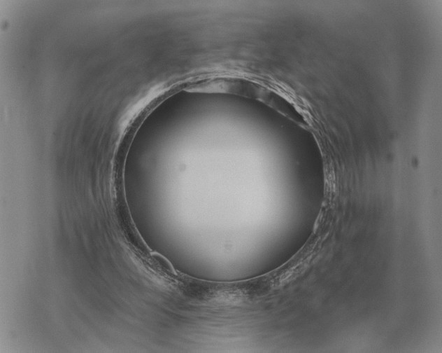 X0000072980248200608111748