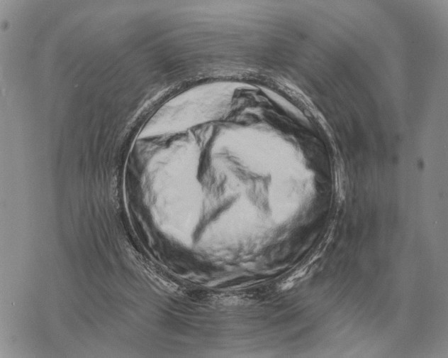 X0000072980249200608111748