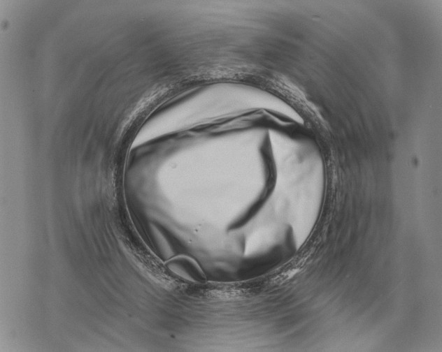 X0000072980250200608111748