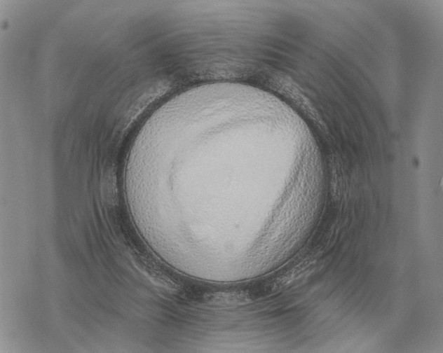 X0000072980251200608111748