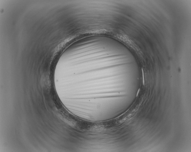 X0000072980252200608111748