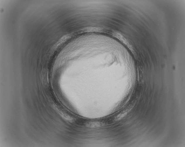 X0000072980253200608111748