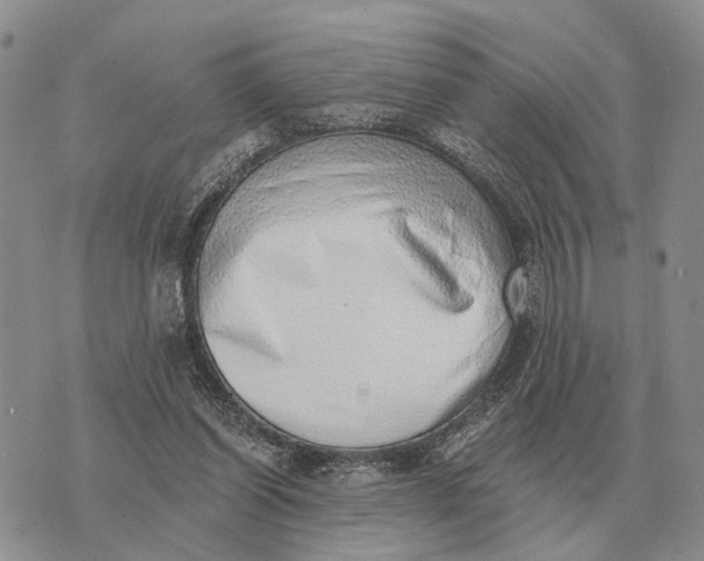 X0000072980254200608111748