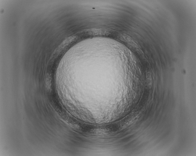 X0000072980255200608111748