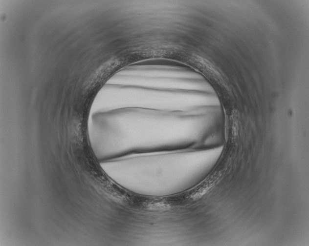 X0000072980258200608111748