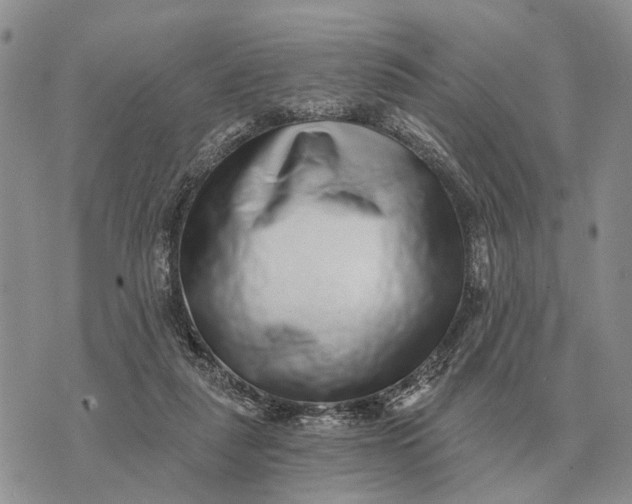 X0000072980259200608111748