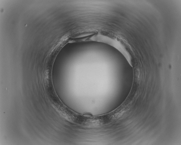 X0000072980260200608111748