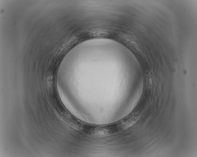 X0000072980263200608111749