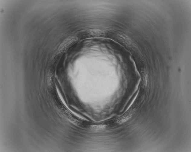 X0000072980266200608111749