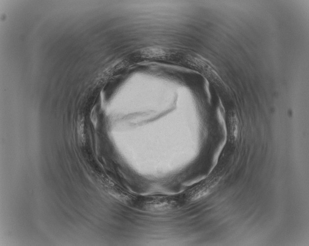 X0000072980267200608111749