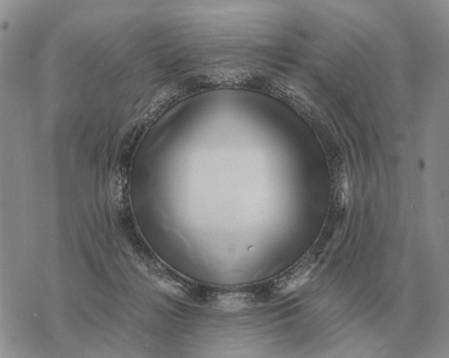 X0000072980268200608111749