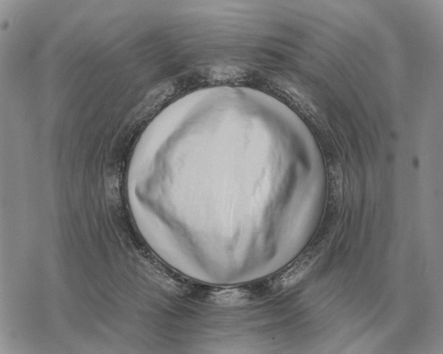 X0000072980269200608111749