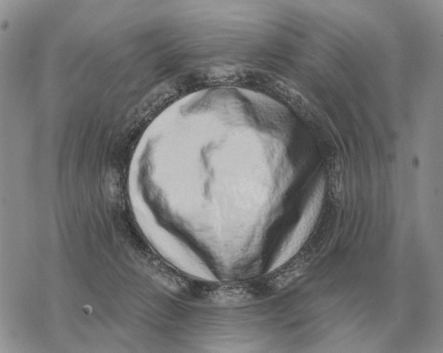 X0000072980270200608111749