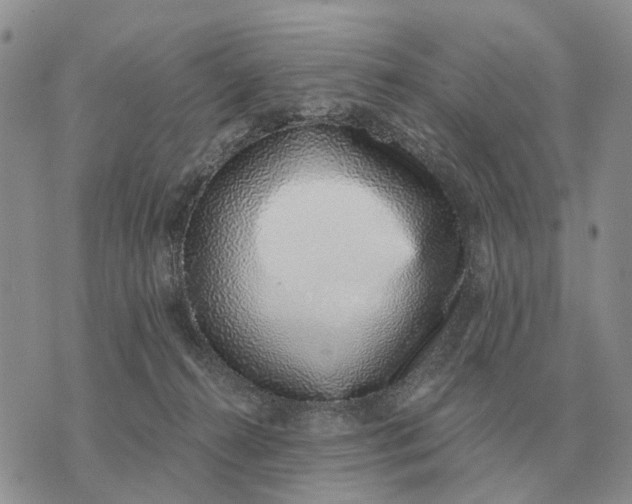 X0000072980272200608111749