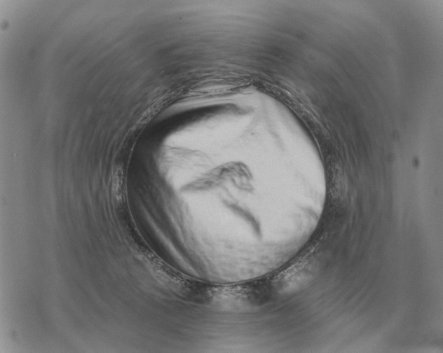 X0000072980273200608111749