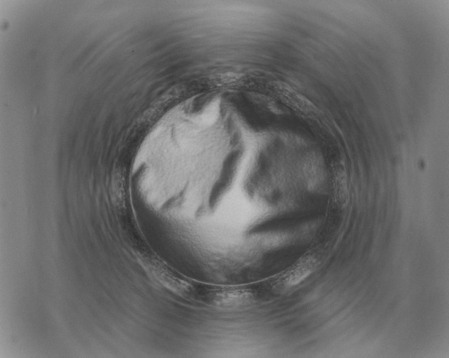 X0000072980274200608111749