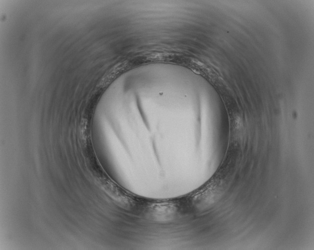 X0000072980275200608111749