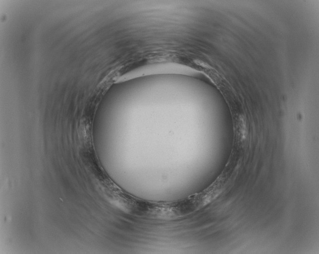 X0000072980276200608111749