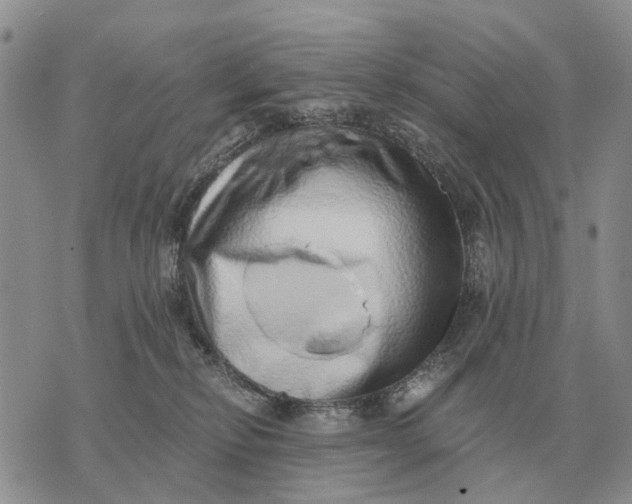 X0000072980278200608111749