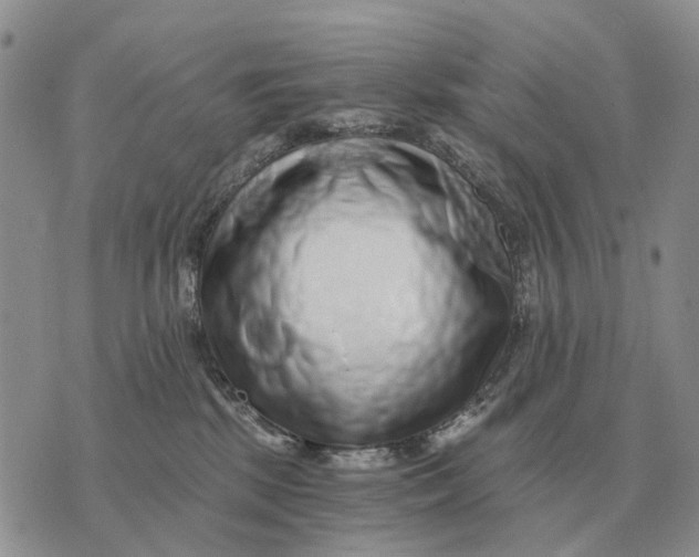 X0000072980281200608111749