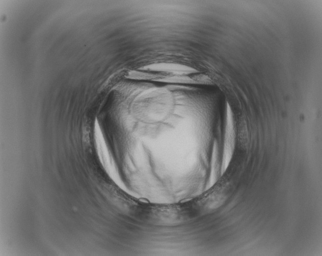 X0000072980282200608111749