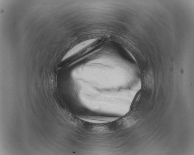 X0000072980283200608111749