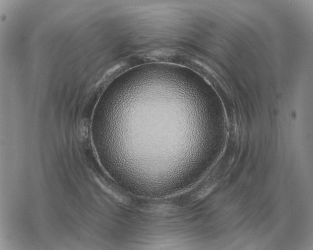 X0000072980284200608111749