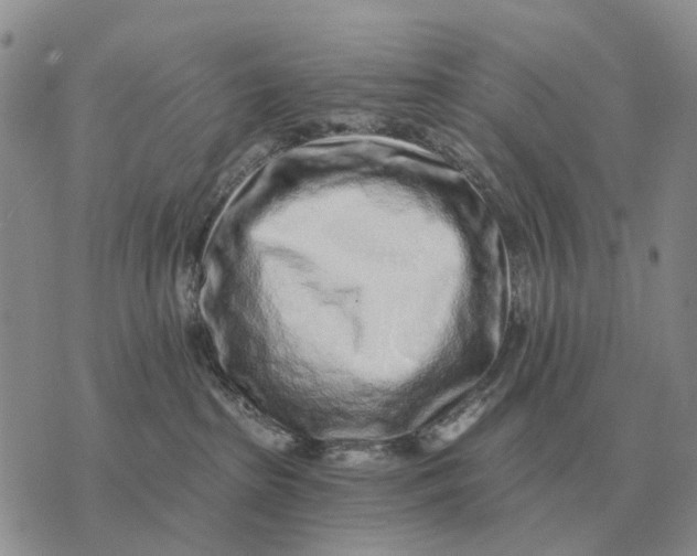 X0000072980285200608111749