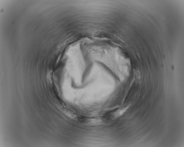 X0000072980286200608111749