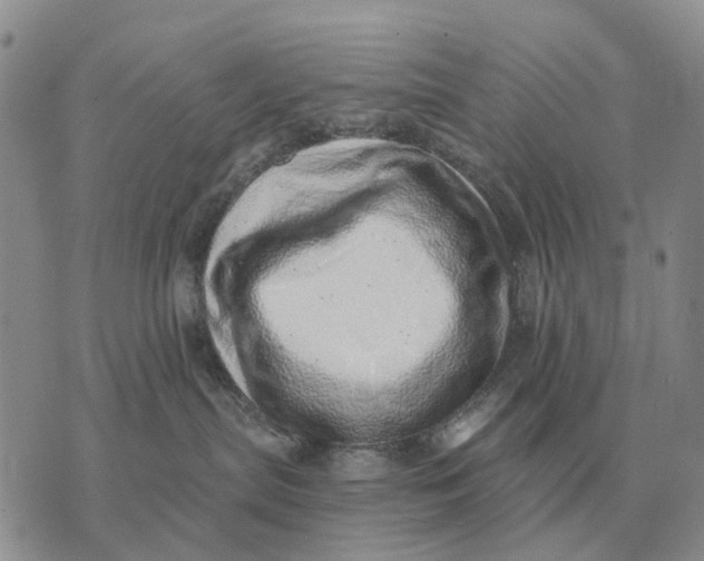 X0000072980287200608111749