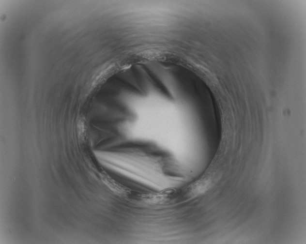 X0000072980288200608111749