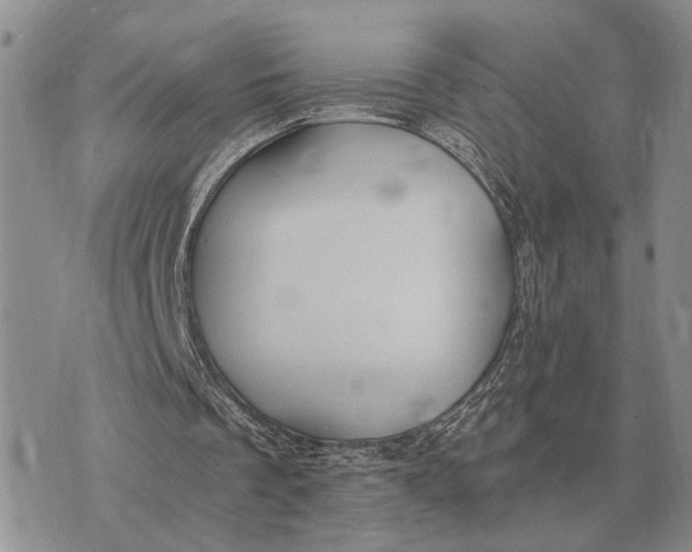 X0000072980289200608111748