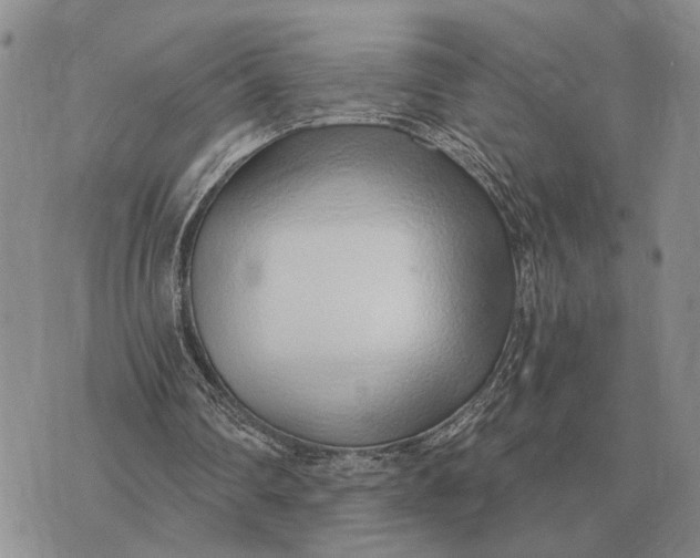 X0000072980290200608111748