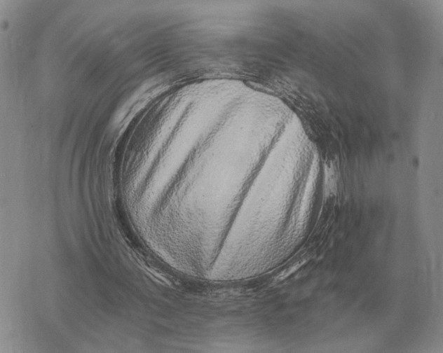 X0000072980291200608111748