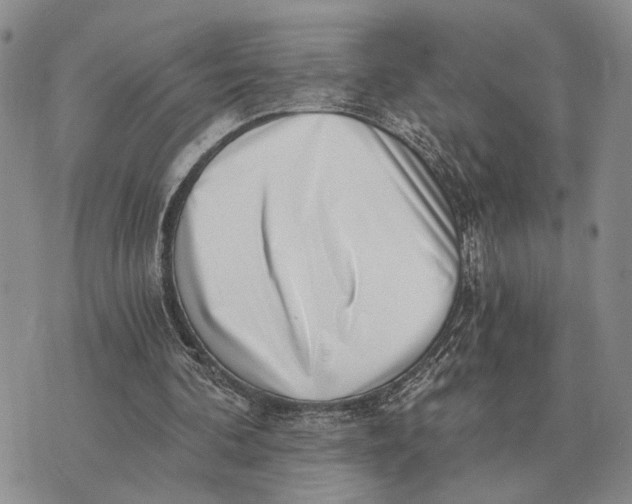 X0000072980292200608111748