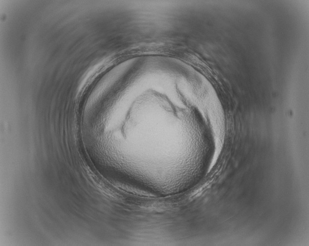 X0000072980293200608111748