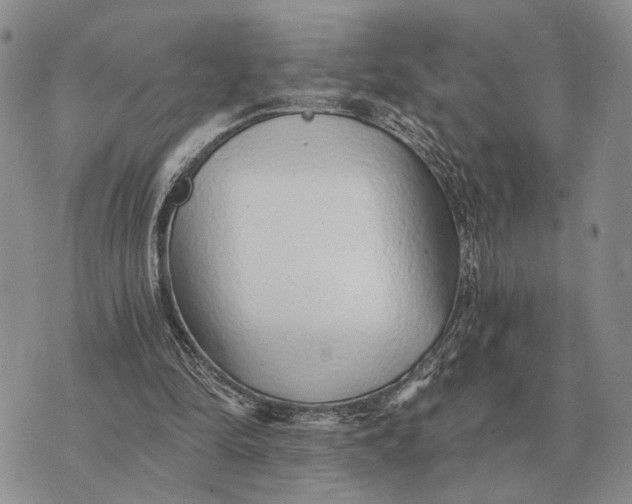 X0000072980294200608111748