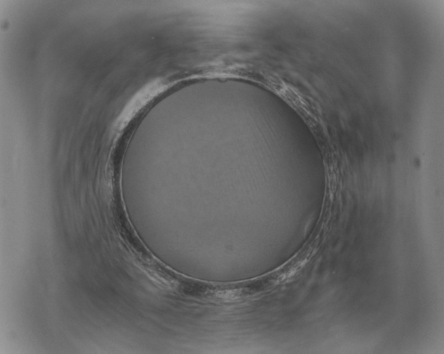 X0000072980295200608111748