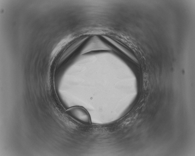 X0000072980296200608111748