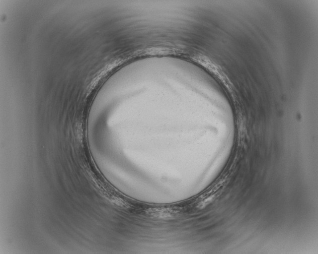 X0000072980297200608111748