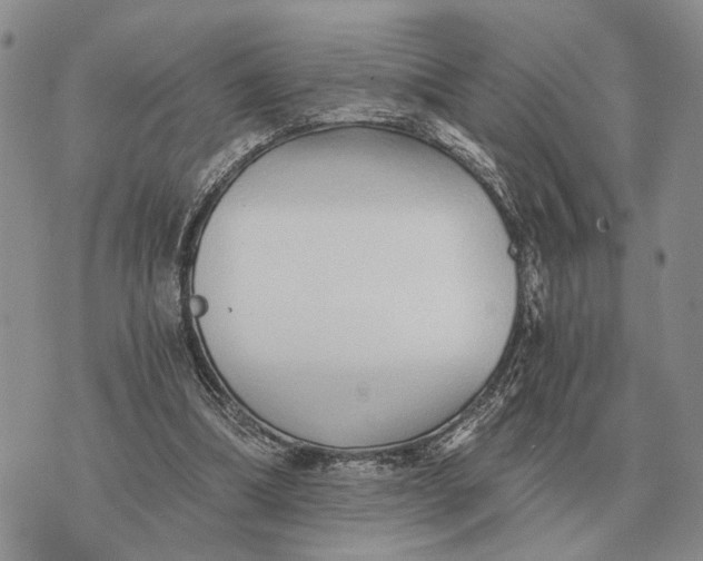 X0000072980298200608111748