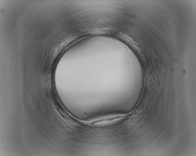 X0000072980299200608111748