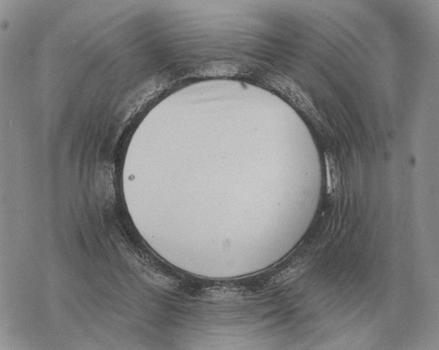 X0000072980300200608111748