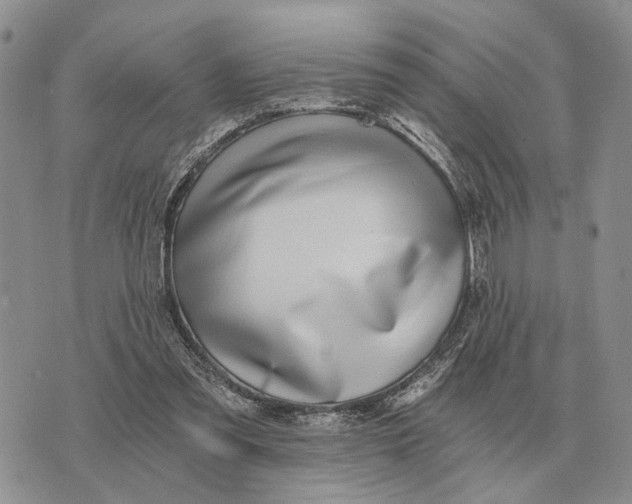 X0000072980301200608111748