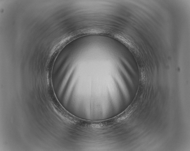 X0000072980302200608111748