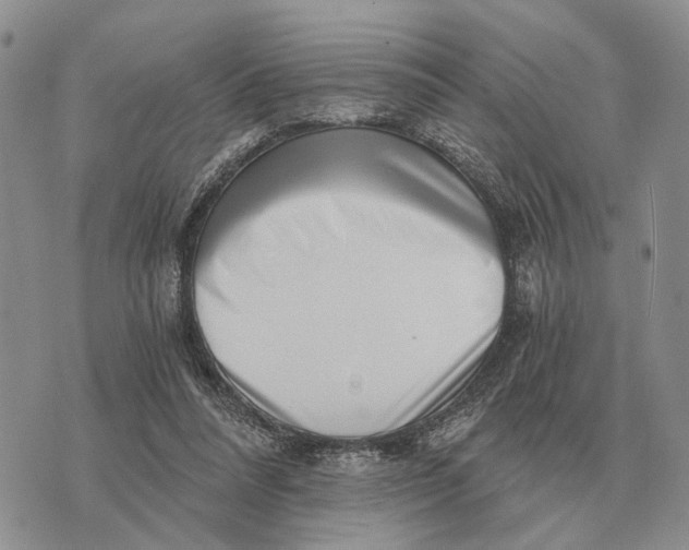 X0000072980304200608111748