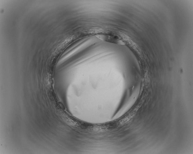 X0000072980305200608111748